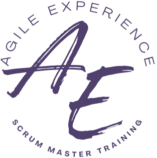 agile-experience